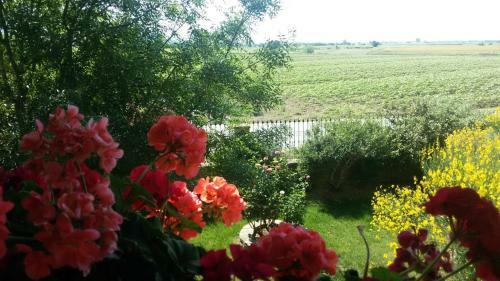 Apartamento Villa La Mucchia - Viola