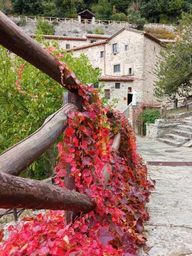 Apartamento Appartamento Io E Te Cortona Centro Storico