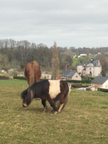 Bed & Breakfast Chez Papito Et Mamito