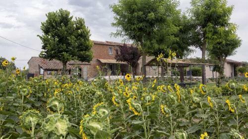 Villa Milluzzi