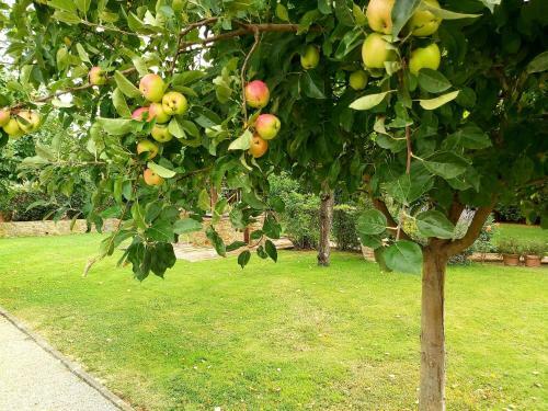 Apartamento Villa La Mucchia - Lavanda