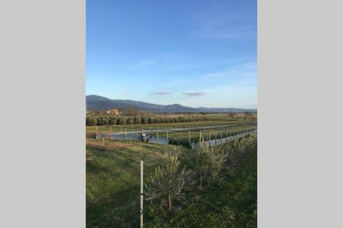 Apartamento Casale Me