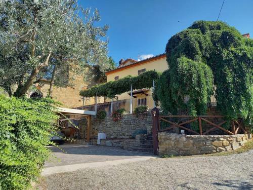 Casina Morogina