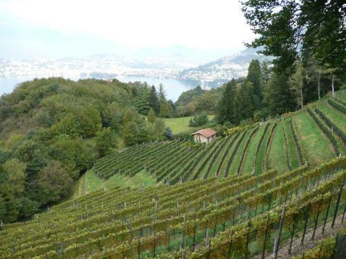Historical Villa Gina With Magic Lake View