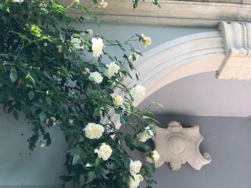 Historical Villa Gina With Magic Lake View