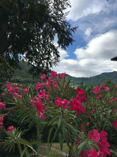 Historical Villa Gina With Magic Lake View
