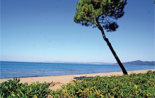 Apartamentos Rosso 3