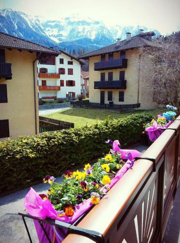 Apartamento Appartamento Alba