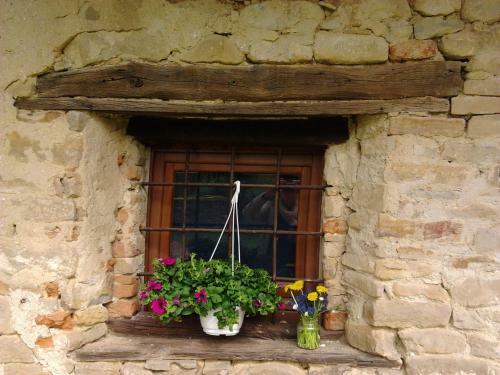 Il Sart�