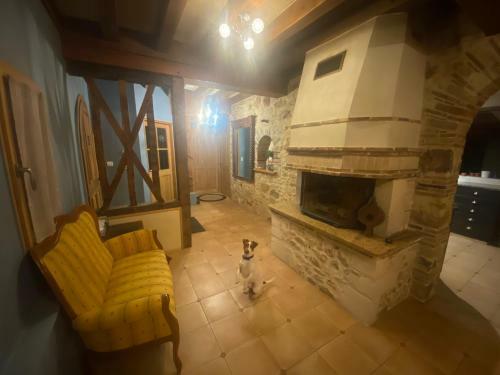 Bed & Breakfast Manoir Du Griffon