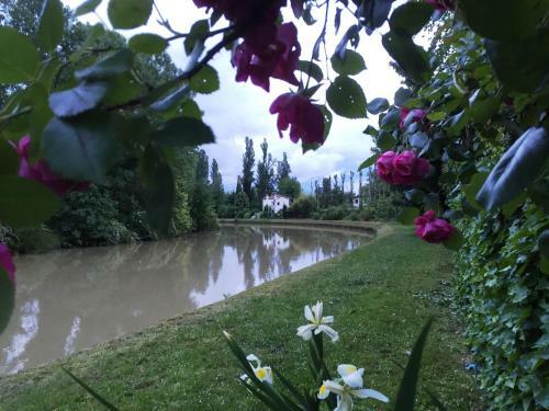 Bed & Breakfast Dimora Naviglio