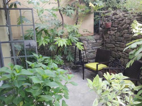 Apartamento Le Ortensie