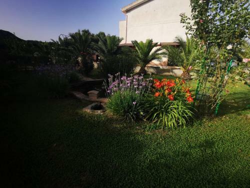 Giampi's Home