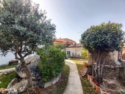Bed & Breakfast Perd'e Fogu