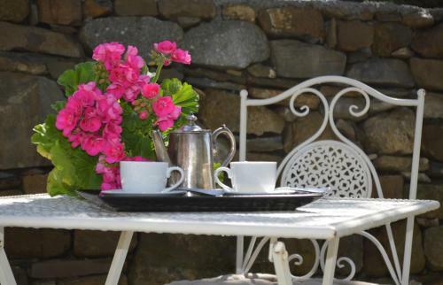 Agroturismo Agriturismo Dalla Mimmi