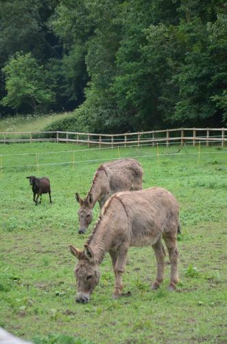 G�te De Charme - Potager Des Bords De Rance