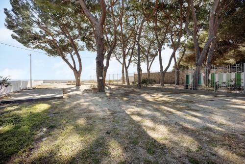 Apartamento Appartamento Orizzonte 9 A