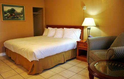 Tulip Motel