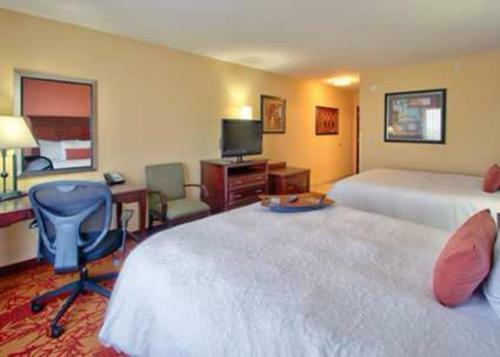 Hotel Hampton Inn & Suites Denver/highlands Ranch