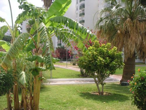 Apartamentos Playa