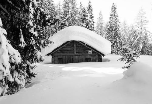 Apartamento Appartamento Mariuccia