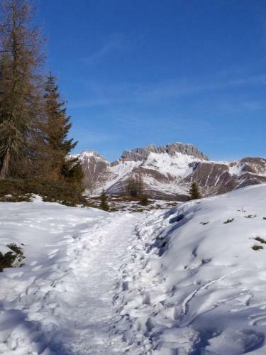 Apartamento Balcone Sulle Dolomiti 2