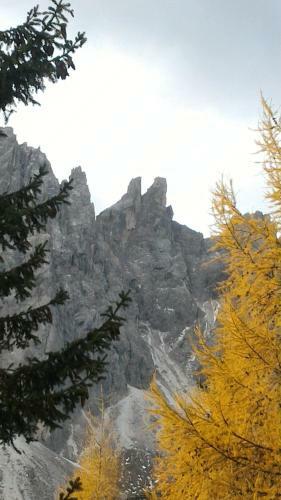 Apartamento Balcone Sulle Dolomiti 2