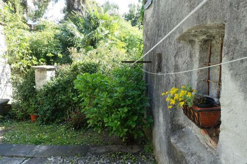 Apartamento House Of Cats
