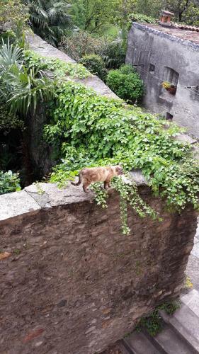 Apartamento House Of Cats