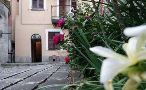 Apartamento Appartamenti Raineri