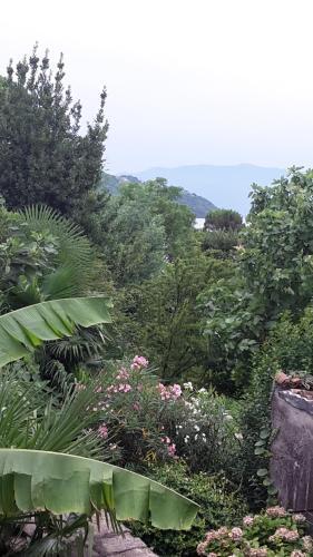 Apartamento Appartamenti Raineri