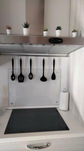 Apartamento Casa Al.ma