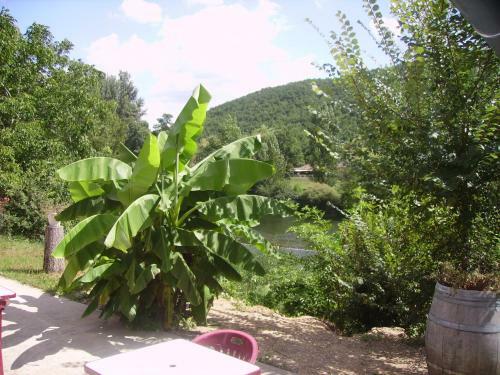 Village Camping Les Vignes
