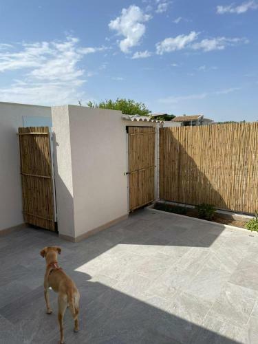 Giomagiua House - 4 People