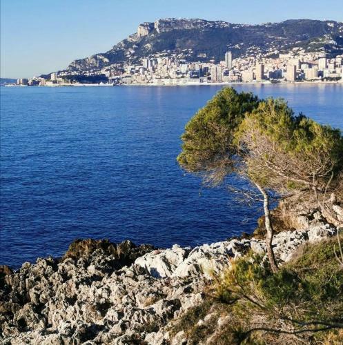 Apartamento Le Sweet - 2pi�ces Front De Mer
