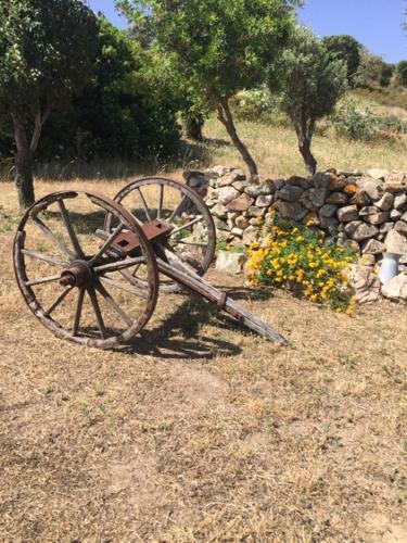 Bed & Breakfast Domo De Enas