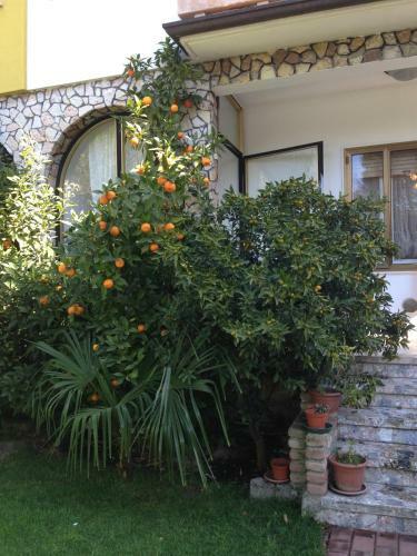 B&B Villa Lina