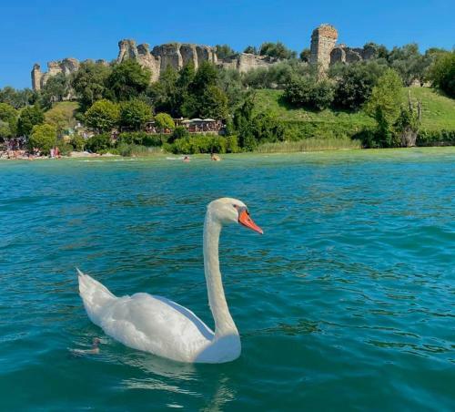 Casa Vacanze Spiaggia D'oro