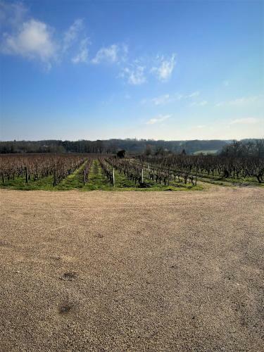 Apartamento Studio Vigneron, 3min Du Zoo