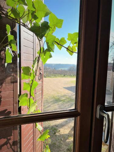 Apartamento Studio Vigneron, 3min Du Zoo