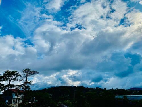 Albergo Hotel - Baguio Transient Hotel