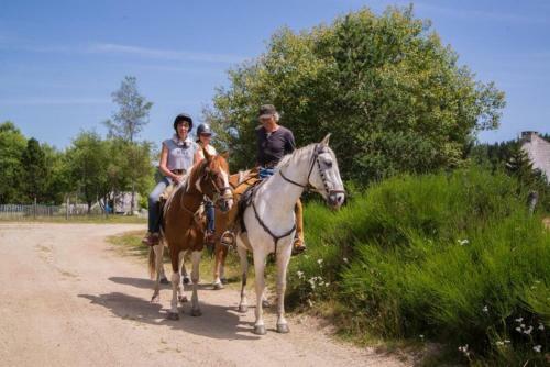 Les Bouviers