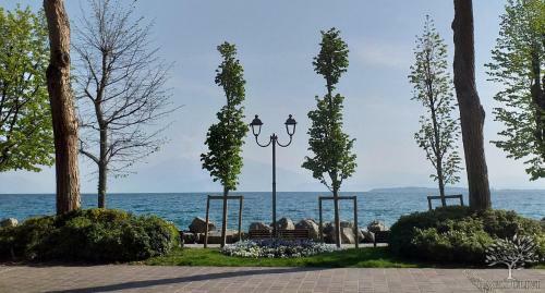 Apartamento Appartamento Agli Ulivi