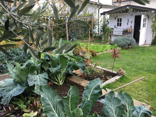 Apartamento Horto Terapeutico Home