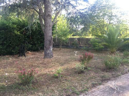 Cool Landes