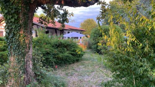 Cool Landes