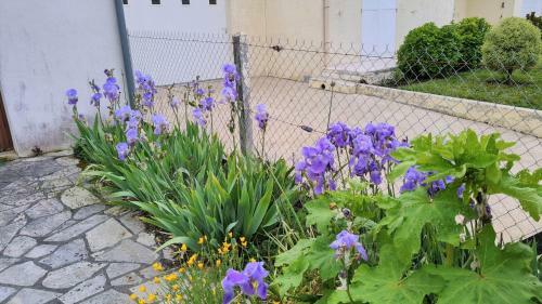 Villa Saint Georges de Didonne - Maison Avec Jardin Clos - Proche Commerces
