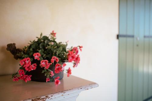 Agroturismo Villa San Pietro