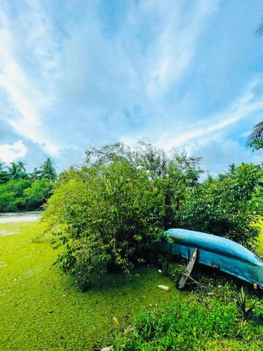 The Lagoon House