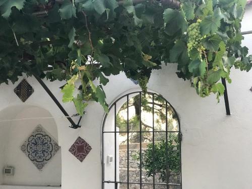 Il Paradiso Di Giacomo